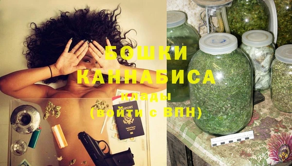 ешки Бородино