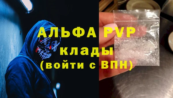 ПСИЛОЦИБИНОВЫЕ ГРИБЫ Ветлуга