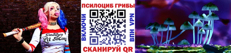 Псилоцибиновые грибы Psilocybe  Бутурлиновка 